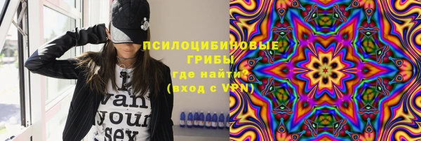 spice Алексин