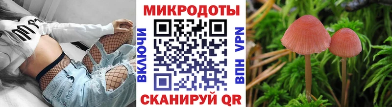 Галлюциногенные грибы мухоморы Волгодонск
